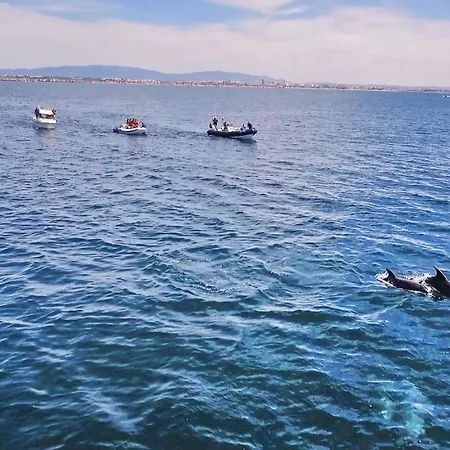 Rhodes By Algarve Vacation Apartament Albufeira